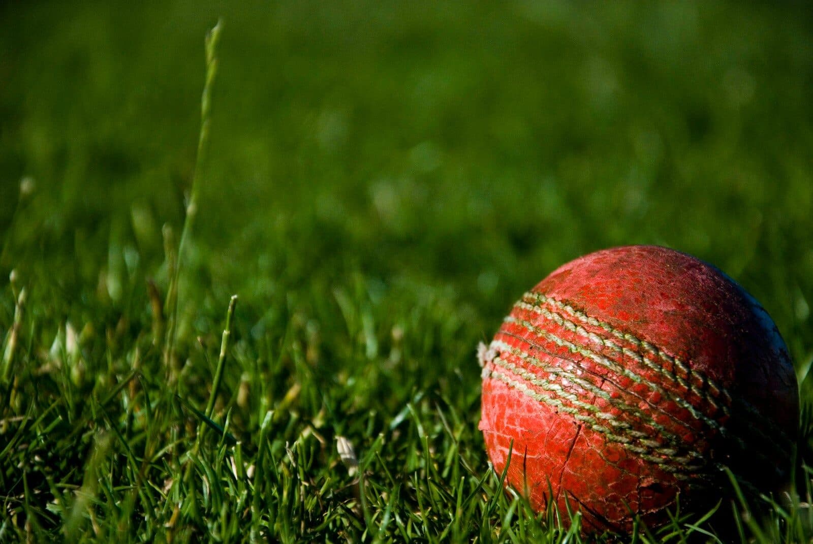 Cricket - Middlesex in the Community (MITC)